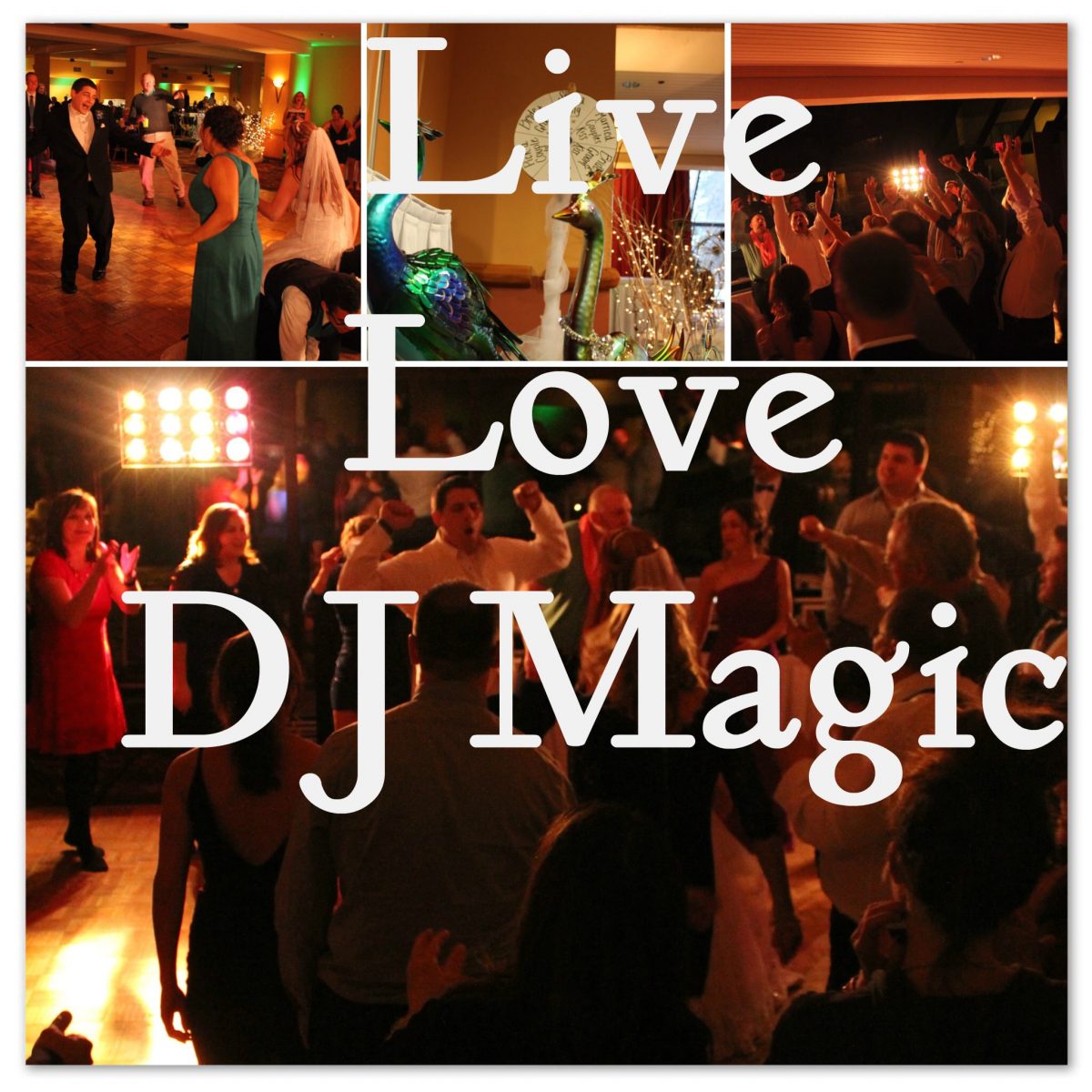 DJ Magic Entertainment is a DJ in Madison, but Why Hire Us?